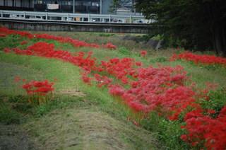 20071007DSC_0006.jpg