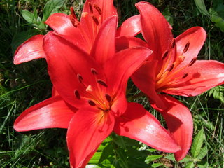 2010_080480064.JPG
