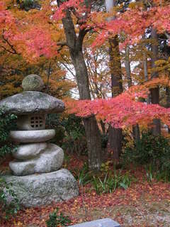 2010_1130_012508-4京都 088.JPG