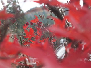 2011_11300054.JPG