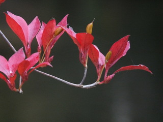 2011_11300121.JPG