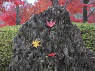 2011_11300200.JPG