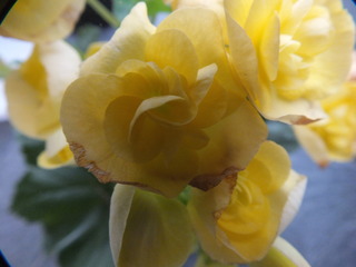 2011_1204To[h0002.JPG