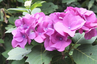 2012_071612N0073.JPG