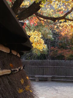 DSCF3639.jpg