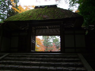 NO3s 098.JPG